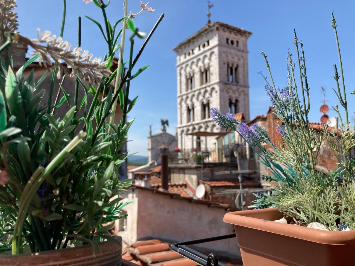 Terrazza San Michele - Affitti Brevi Italia Διαμέρισμα Λούκα Εξωτερικό φωτογραφία
